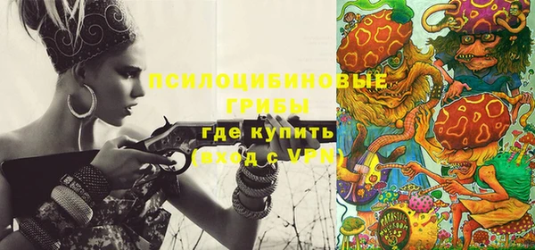 соль ск Инта