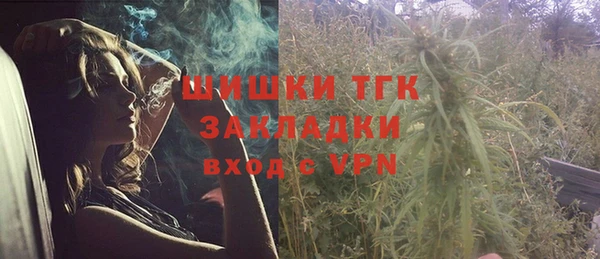 соль ск Инта